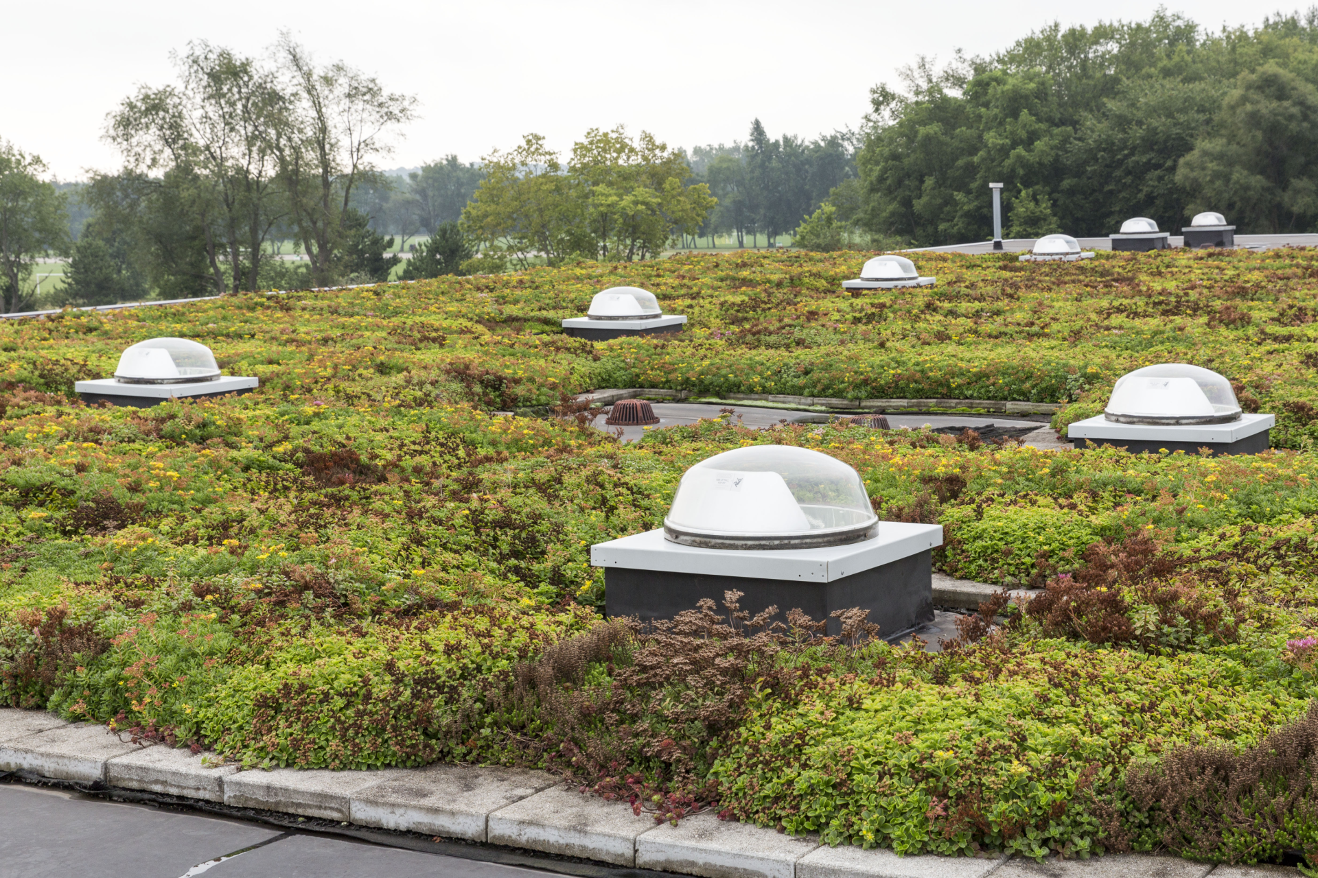 MCM 2015 STI Bells Brewery